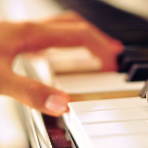 宿迁木屋厂家用小鹤营销导航
