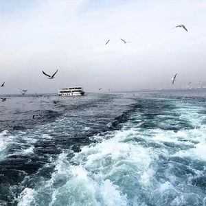 宿迁木屋厂家用小鹤营销导航
