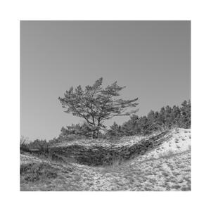 国产精品av不卡在线观看
